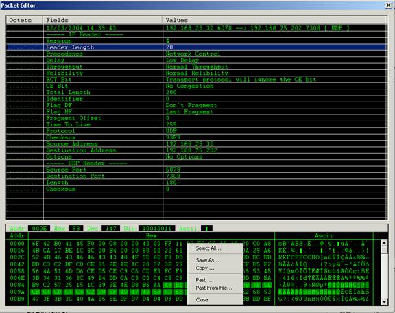 Edit Packet - Network Packet Decoder and Editor